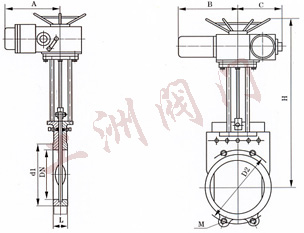 尺寸圖